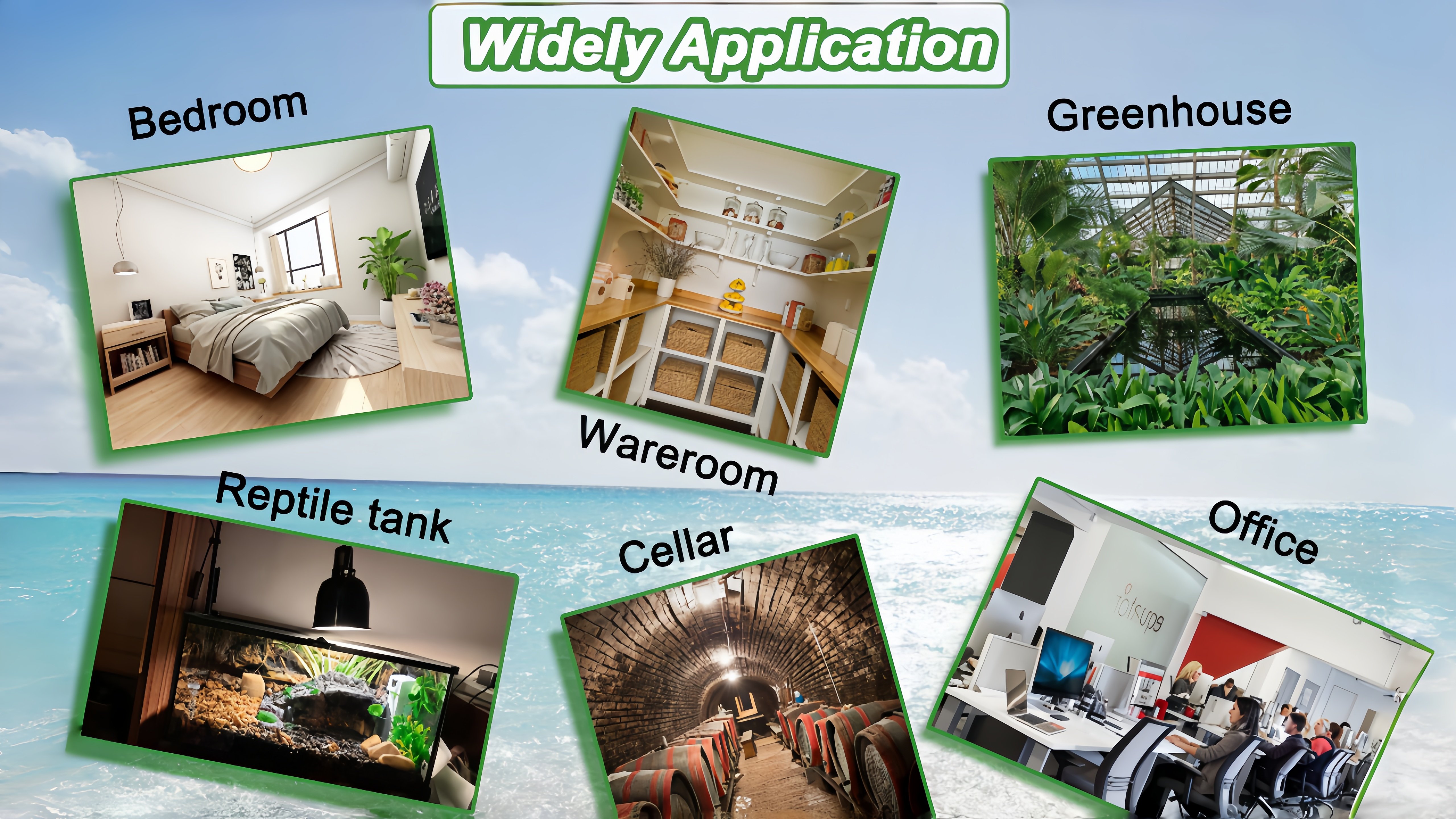 Multi-use hygrometer for home, garden, and pet enclosures Hygrometer used in a workshop, greenhouse, and terrarium